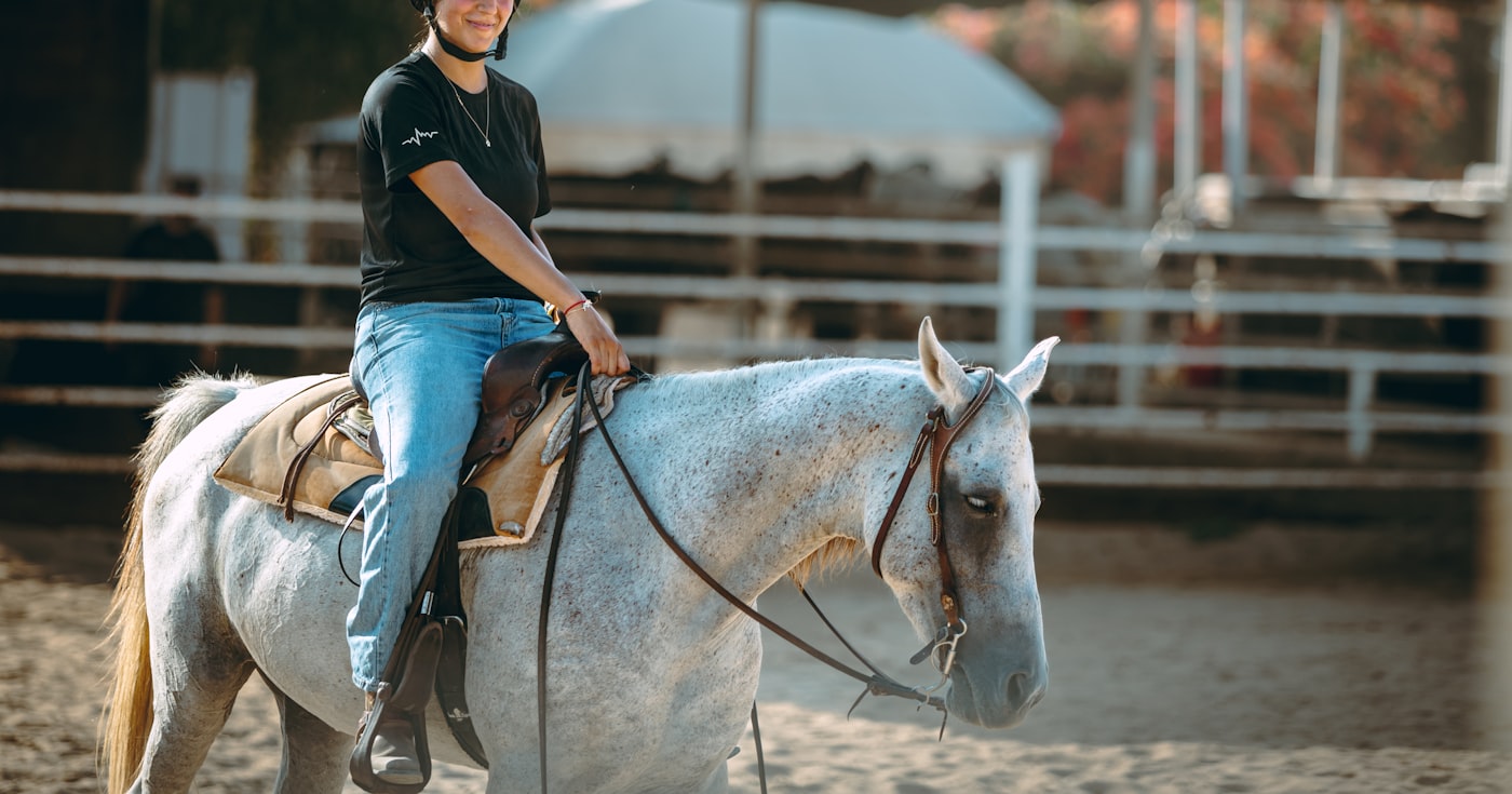 Cavalière au pas sur un cheval gris dans une carrière