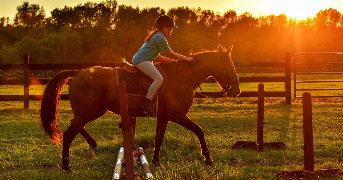 Cavalière montant un cheval alezan au coucher du soleil