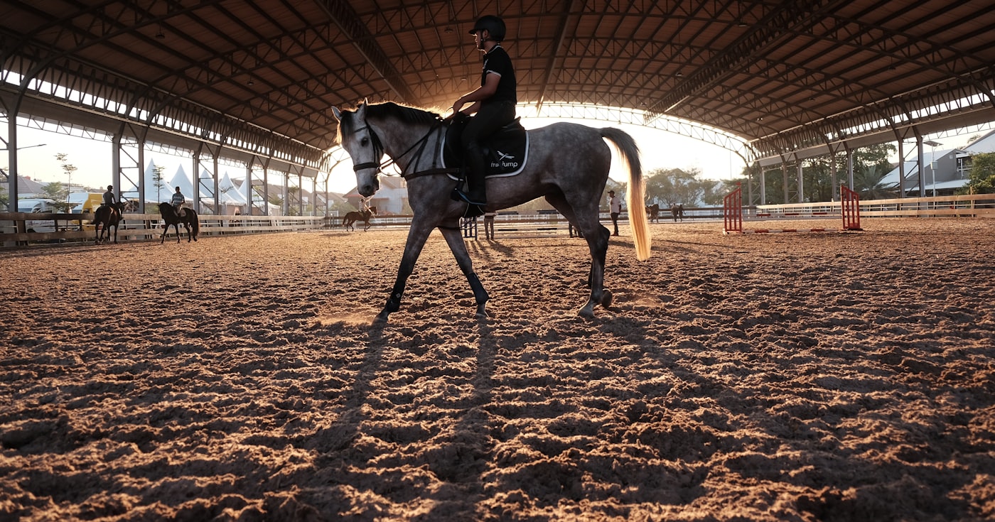 Cavaliers à cheval dans un manège couvert