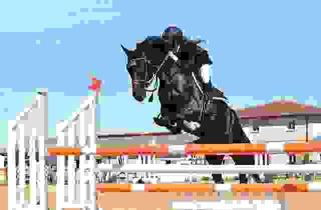 Observer les cavaliers d'un meilleur niveau