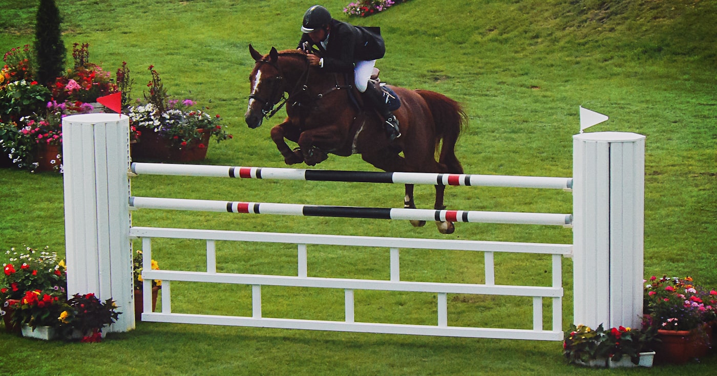 Cheval et cavalier franchissant un obstacle blanc