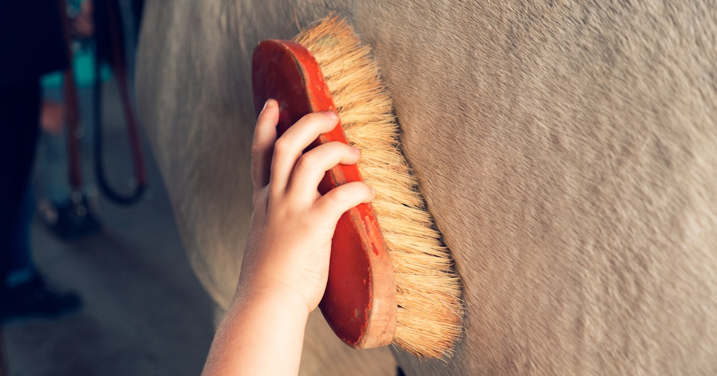 Main d'enfant passant une brosse sur la robe d'un cheval