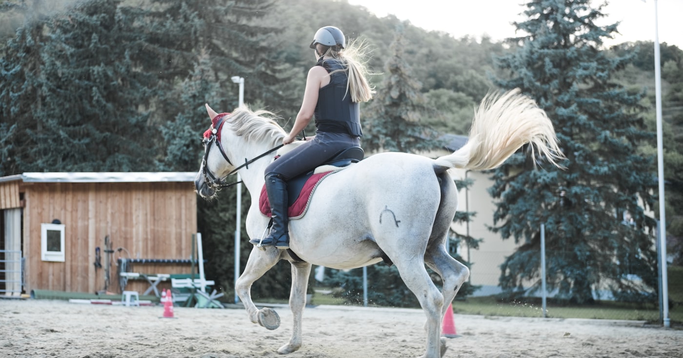 Jeune cavalière sur un cheval gris devant un club équestre