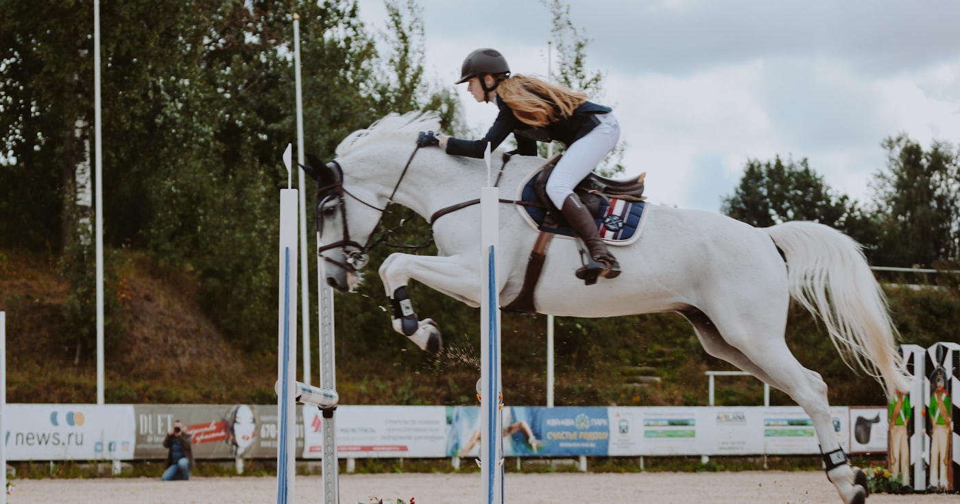 Programme Galop 3