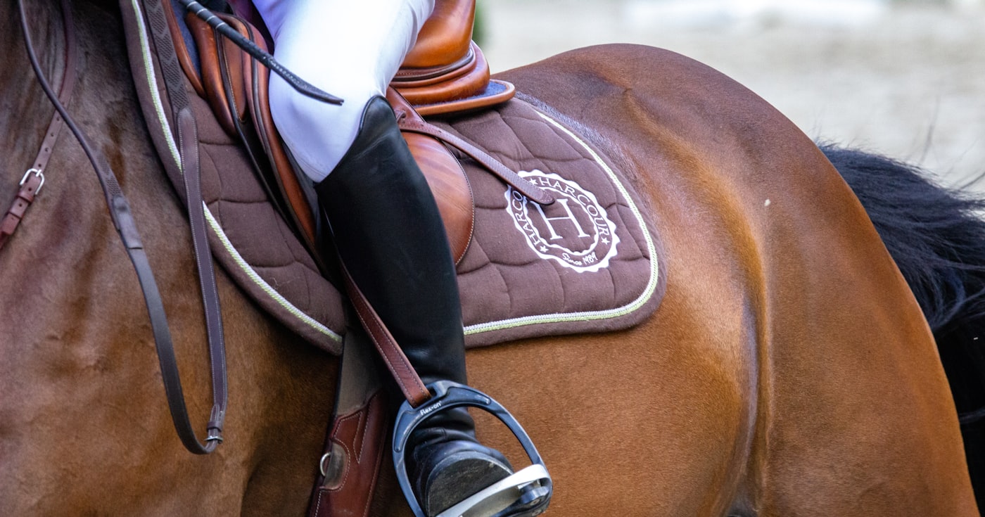 Détail d'une selle et d'un étrier sur un cheval