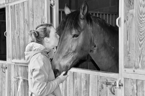 Le box — espace individuel fermé