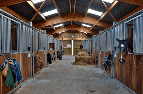 La stalle — espace individuel où le cheval est attaché