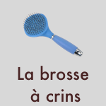 La brosse à crins