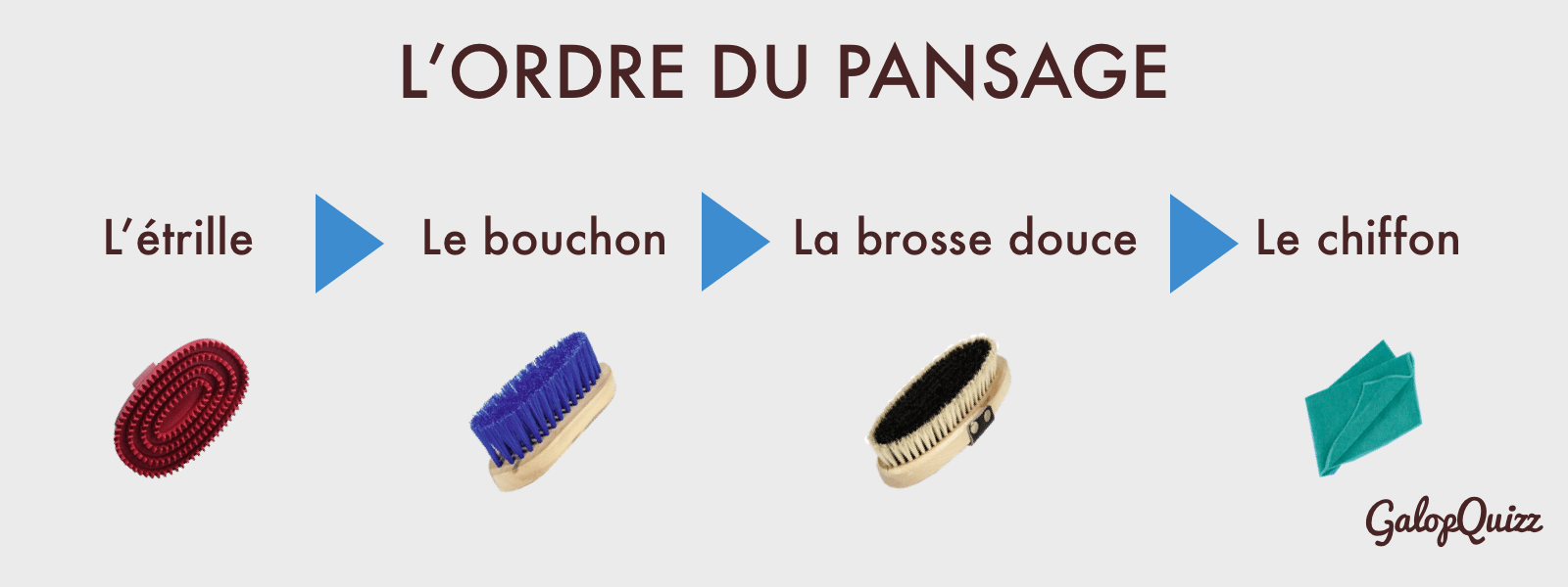 L'ordre d'utilisation du matériel de pansage