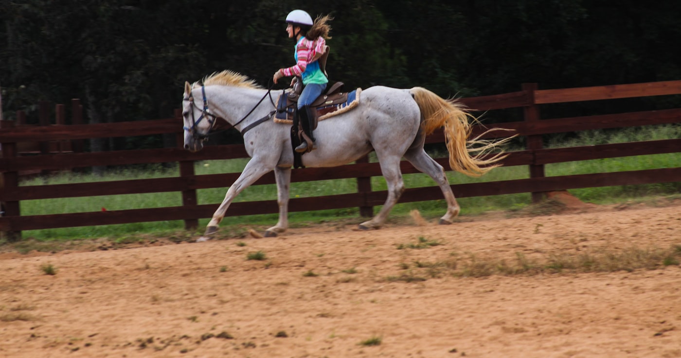 Jeune cavalière sur un poney gris dans une carrière