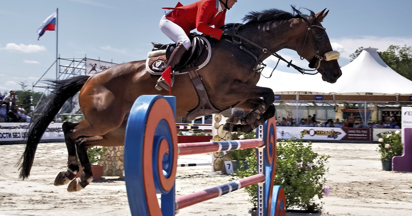 Quiz Galop 4 corrigé