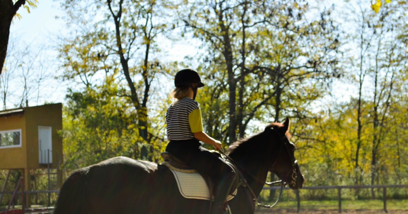 Jeune cavalière au pas sur un cheval bai