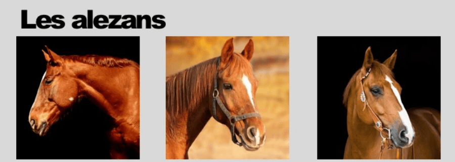 La robe alezan du cheval