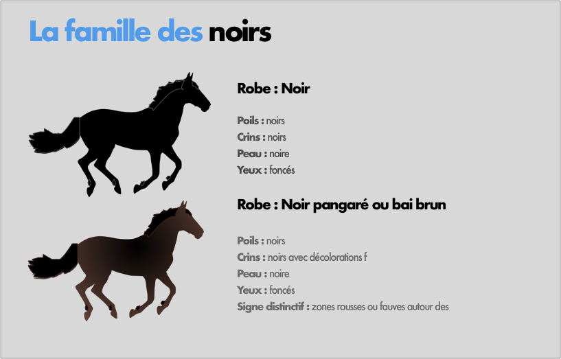 Les robes de la famille des noirs